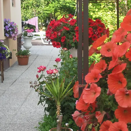 Bed & Breakfast Ascher *
